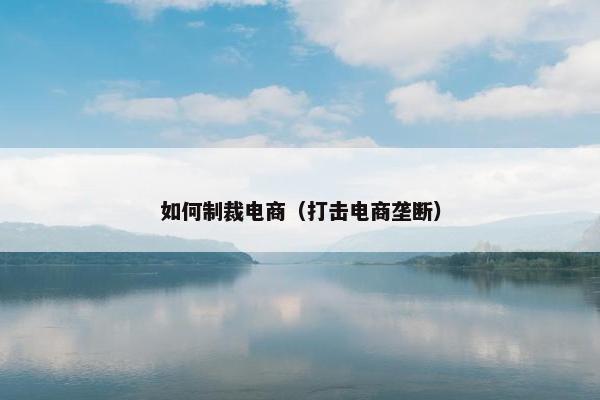 如何制裁电商（打击电商垄断）