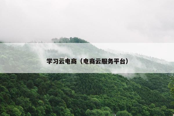 学习云电商（电商云服务平台）