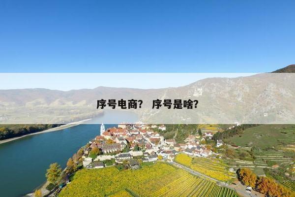 序号电商？ 序号是啥？