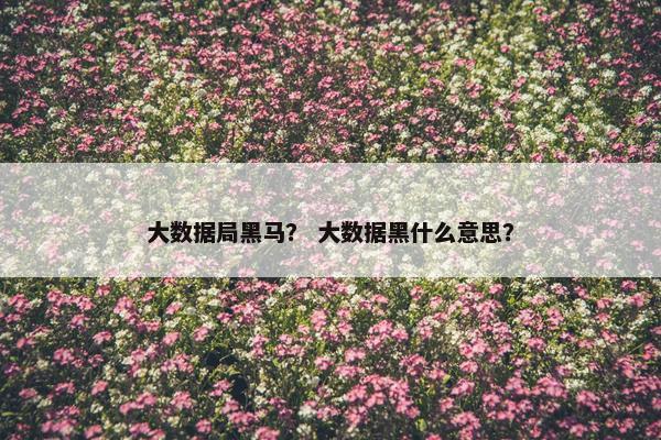 大数据局黑马？ 大数据黑什么意思？