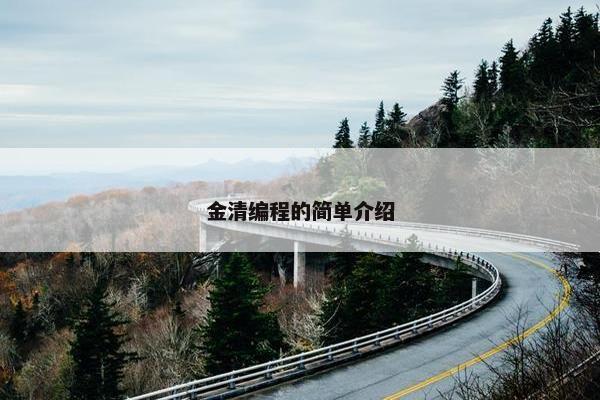 金清编程的简单介绍