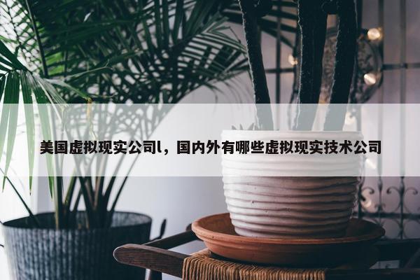 美国虚拟现实公司l，国内外有哪些虚拟现实技术公司
