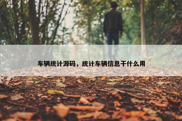 车辆统计源码，统计车辆信息干什么用