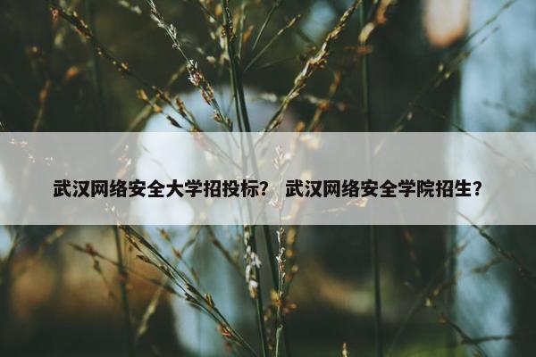 武汉网络安全大学招投标？ 武汉网络安全学院招生？