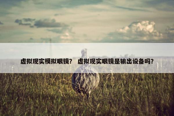 虚拟现实模拟眼镜？ 虚拟现实眼镜是输出设备吗？