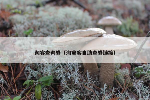 淘客查询券（淘宝客自助查券链接）