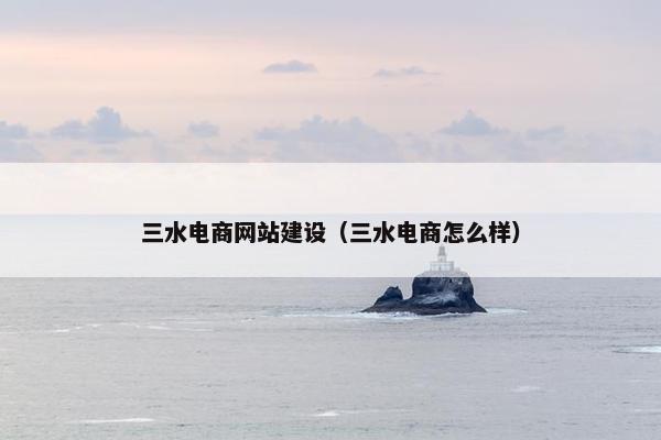 三水电商网站建设（三水电商怎么样）