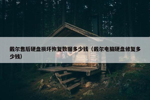 戴尔售后硬盘损坏恢复数据多少钱（戴尔电脑硬盘修复多少钱）