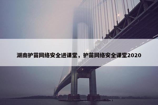 湖南护苗网络安全进课堂，护苗网络安全课堂2020