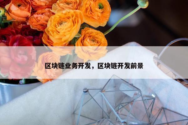 区块链业务开发，区块链开发前景