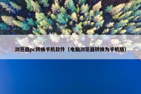 浏览器pc转换手机软件（电脑浏览器转换为手机版）