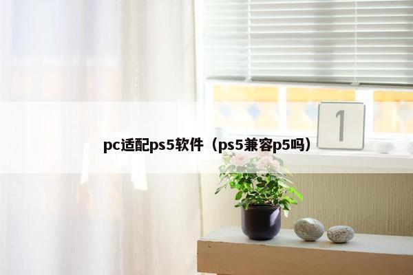pc适配ps5软件（ps5兼容p5吗）