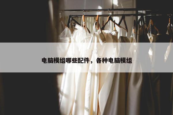 电脑模组哪些配件，各种电脑模组