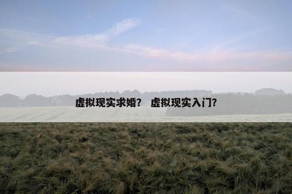 虚拟现实求婚？ 虚拟现实入门？