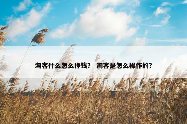 淘客什么怎么挣钱？ 淘客是怎么操作的？