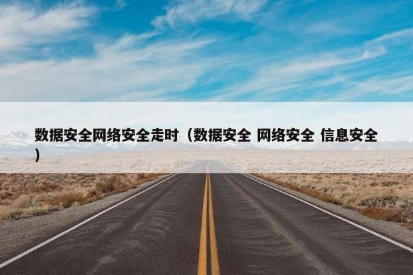 数据安全网络安全走时（数据安全 网络安全 信息安全）