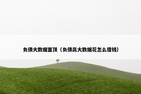 负债大数据置顶（负债高大数据花怎么借钱）