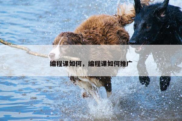 编程课如何，编程课如何推广