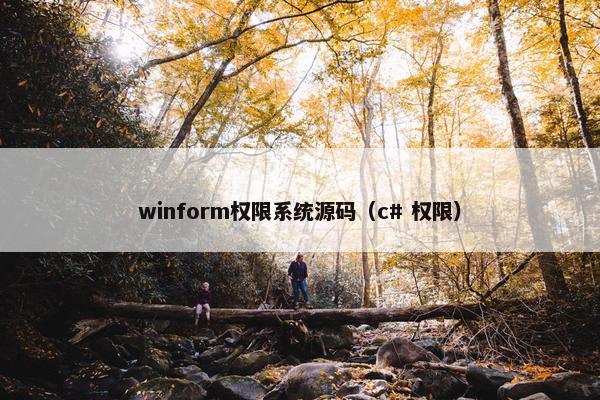 winform权限系统源码（c# 权限）