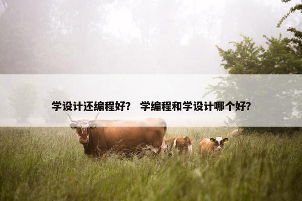 学设计还编程好？ 学编程和学设计哪个好？
