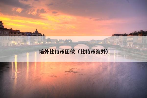 境外比特币团伙（比特币海外）