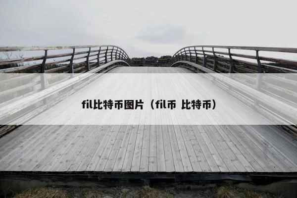 fil比特币图片（fil币 比特币）