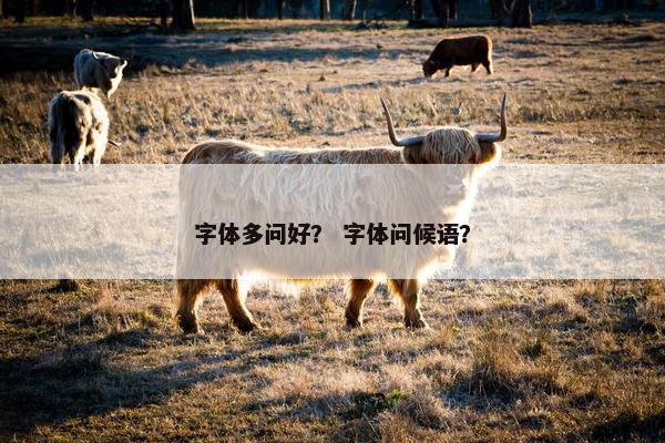 字体多问好？ 字体问候语？