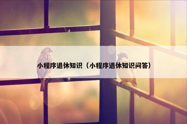 小程序退休知识（小程序退休知识问答）