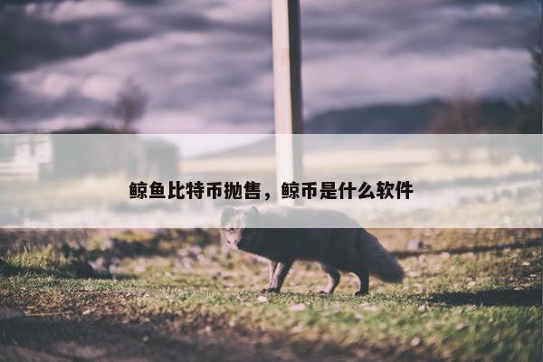 鲸鱼比特币抛售，鲸币是什么软件