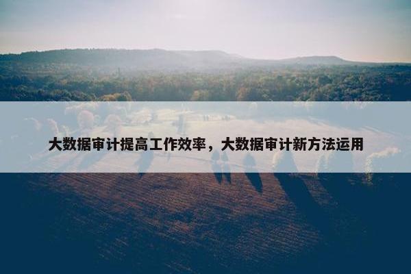 大数据审计提高工作效率，大数据审计新方法运用