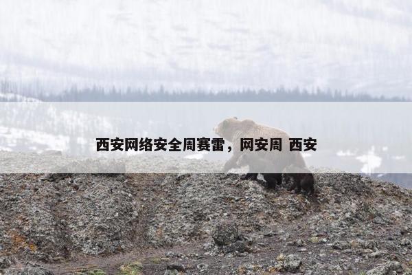西安网络安全周赛雷，网安周 西安