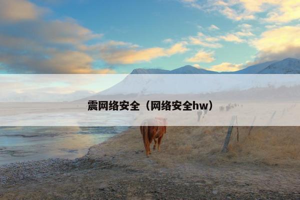 震网络安全（网络安全hw）