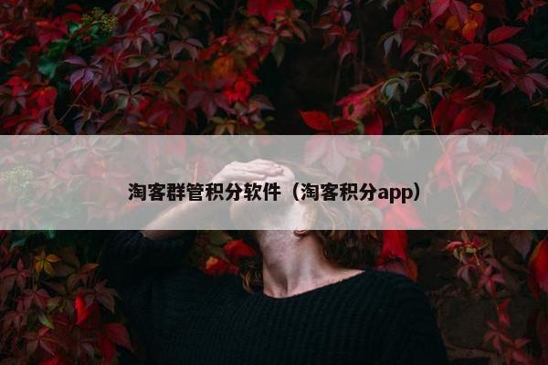 淘客群管积分软件（淘客积分app）