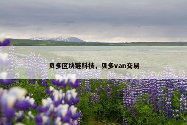 贝多区块链科技，贝多van交易