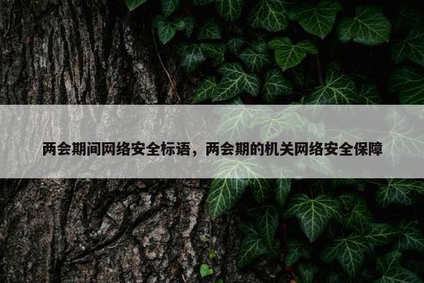 两会期间网络安全标语，两会期的机关网络安全保障