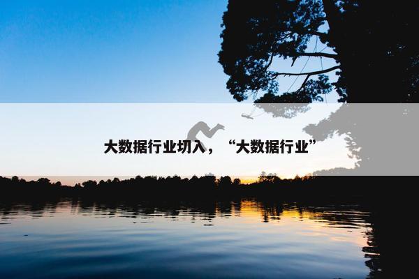 大数据行业切入，“大数据行业”