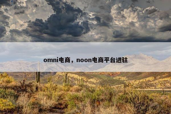 omni电商，noon电商平台进驻