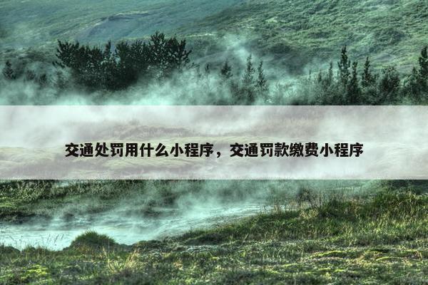 交通处罚用什么小程序，交通罚款缴费小程序
