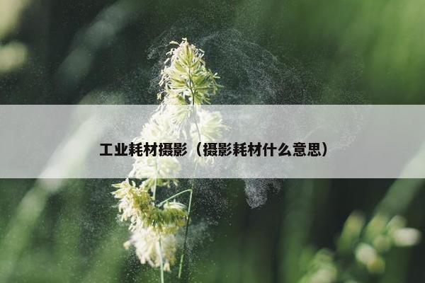 工业耗材摄影（摄影耗材什么意思）