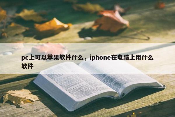 pc上可以苹果软件什么，iphone在电脑上用什么软件