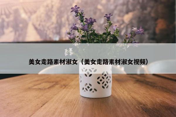 美女走路素材淑女（美女走路素材淑女视频）