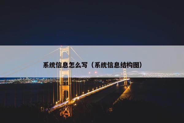 系统信息怎么写（系统信息结构图）
