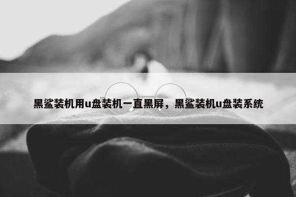 黑鲨装机用u盘装机一直黑屏，黑鲨装机u盘装系统