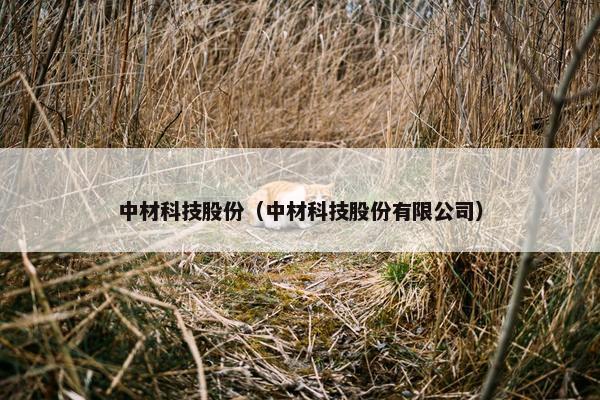 中材科技股份（中材科技股份有限公司）