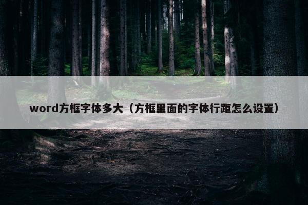 word方框字体多大（方框里面的字体行距怎么设置）