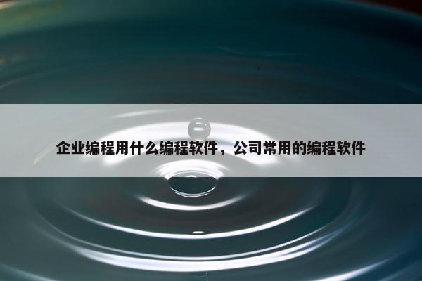 企业编程用什么编程软件，公司常用的编程软件