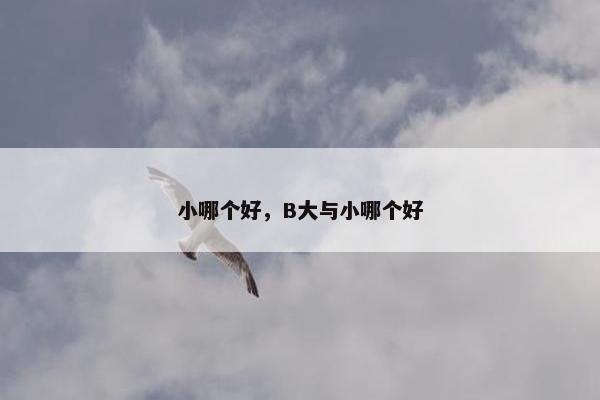 小哪个好，B大与小哪个好