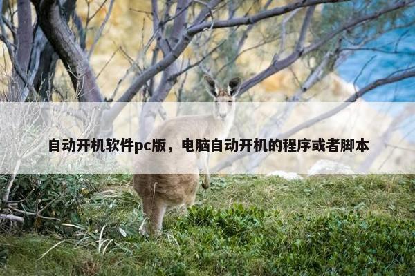 自动开机软件pc版，电脑自动开机的程序或者脚本