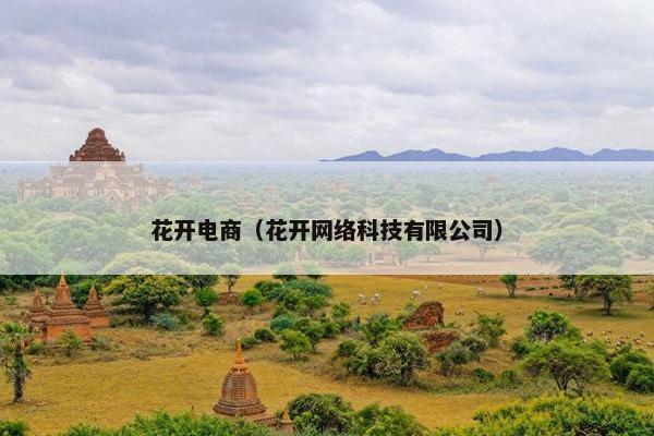 花开电商（花开网络科技有限公司）