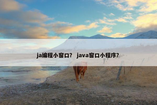 ja编程小窗口？ java窗口小程序？